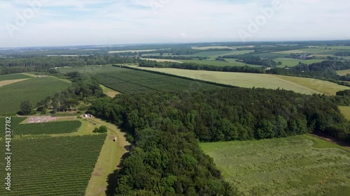 4K footage flying over woodlands in England. photo