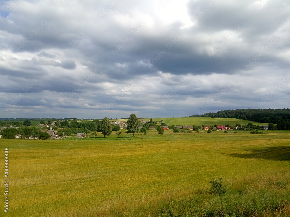 Beautiful summer rural landscape,  field, hills, village