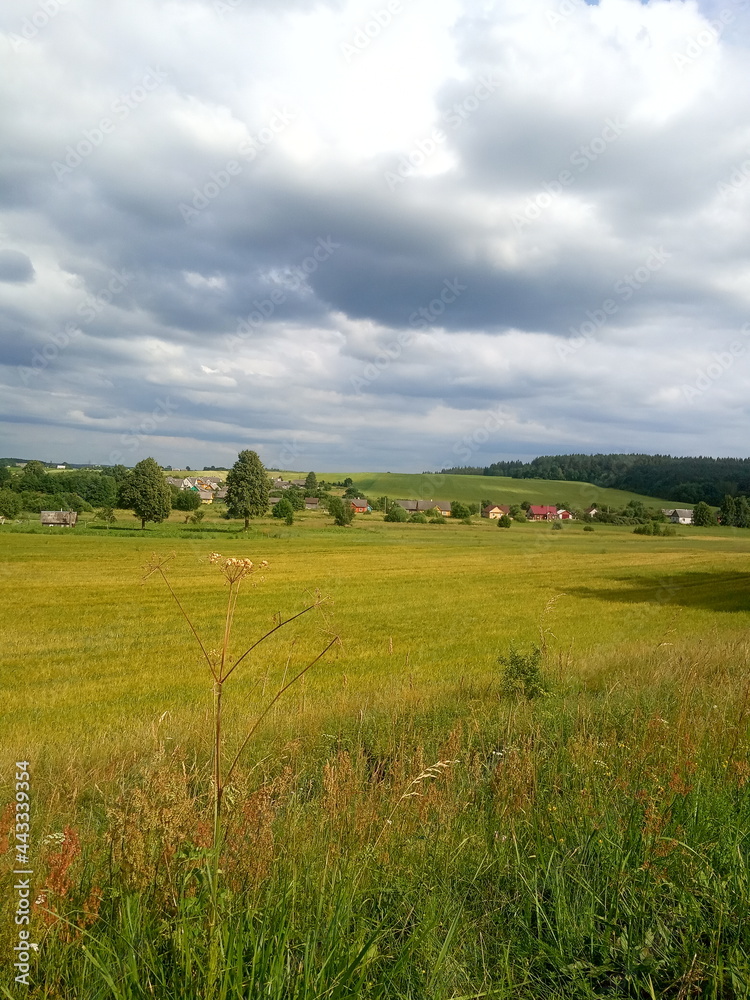 Beautiful summer rural landscape, field, hills, village Beautiful summer rural landscape, field, hills, village