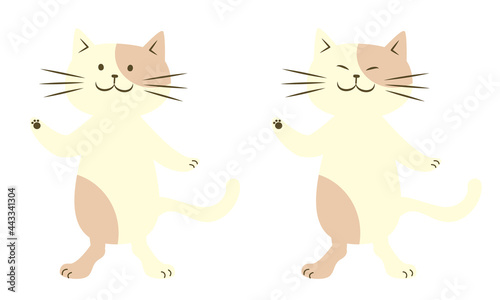 Illustration of a tortoiseshell cat giving a tour