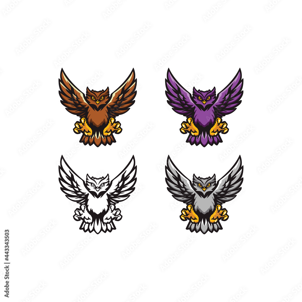 Obraz premium owl vector asset logo template