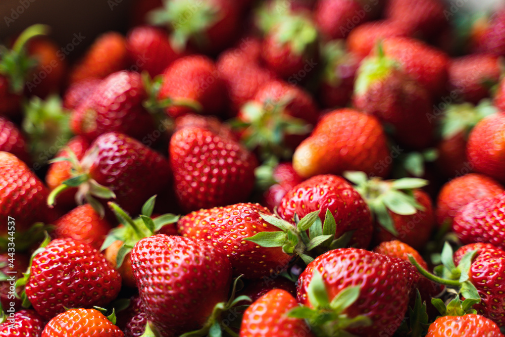 Strawberry top view background. Summer food pattern. Raw fresh farming berries. Healthy eating concept. Raw foodism. Strawberry top view background. Summer food pattern. Raw fresh farming berries. Healthy eating concept. Raw foodism.