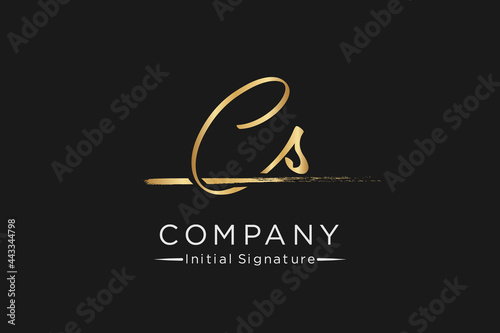 signature Initial combination Letter C S. handwriting logo of initial signature, wedding, fashion, jewerly, boutique, floral and botanical with creative template for any company or business.