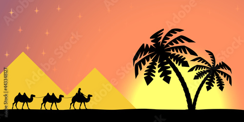 Man on the camel in palm trees at sunset.