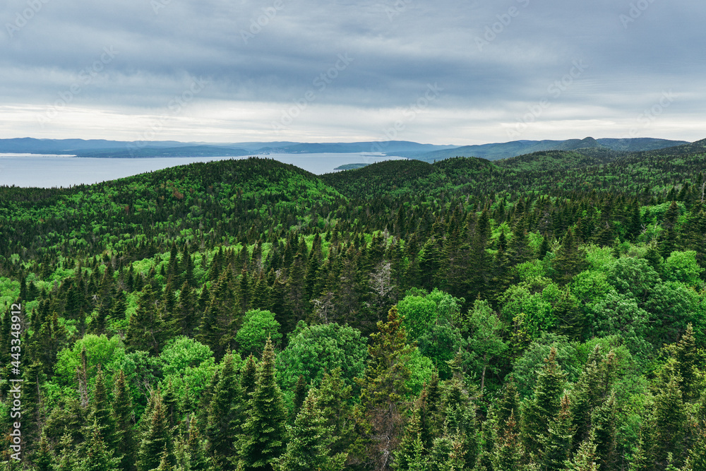 View on the green mountains of Gaspesie from Mont St Alban in Forillon National Park (Quebec, Canada)