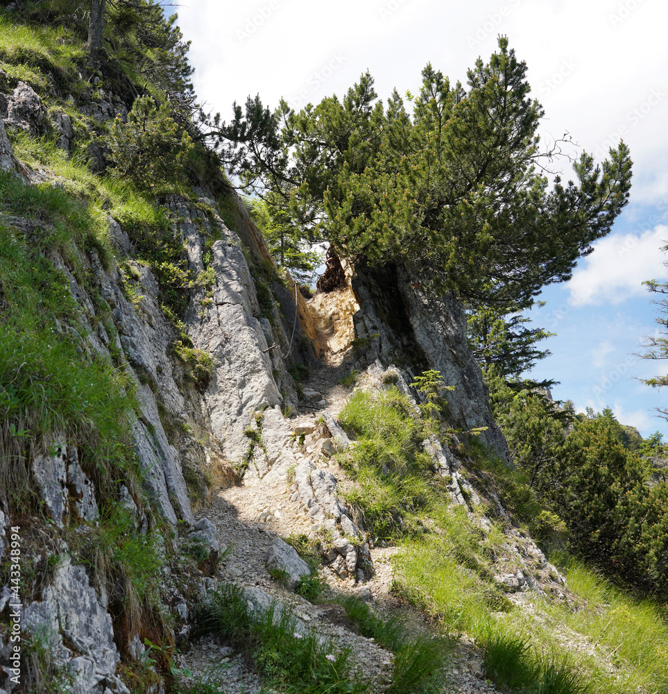 Gratwanderung zum Pürschling bei Oberammergau Gratwanderung zum Pürschling bei Oberammergau