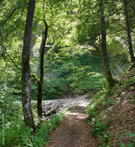 Gratwanderung zum P  rschling bei Oberammergau