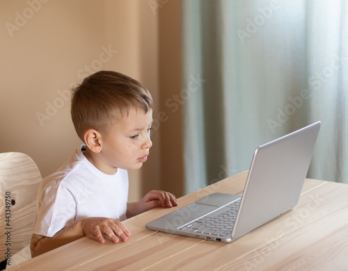 Little boy sits at the computer and looks carefully at the monitor. Distance education concept.