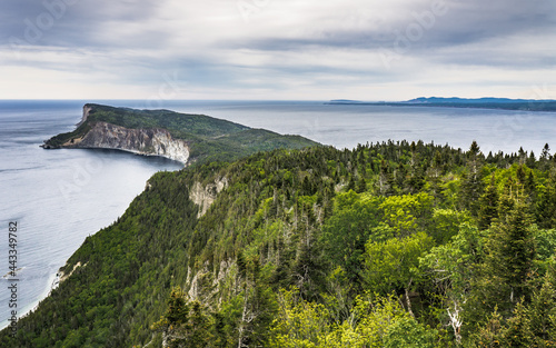 View on Cape Gaspé cliffs in Forillon National Park from the top of Mont St Alban (Quebec, Canada)