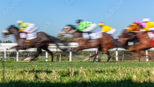Horse Racing Horses Jockeys Blurred Motion Speed Close Up Action