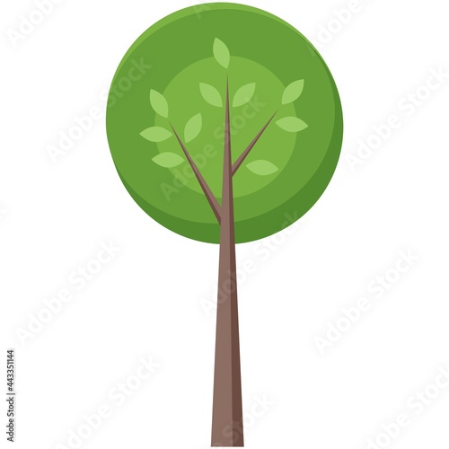 Leaf tree vector icon isolated on white background