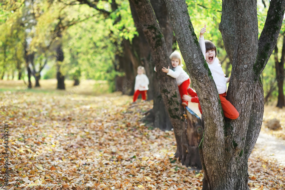 Children for a walk in the autumn park. Leaf fall in the park. Family. Fall. Happiness. Children for a walk in the autumn park. Leaf fall in the park. Family. Fall. Happiness.