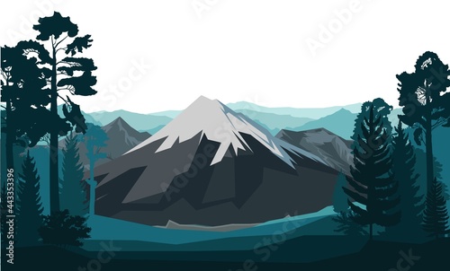 Mountain landscape. The haunted forest. Coniferous and deciduous trees. Silhouette. Isolated on a white background. Mountains, rocks on the horizon. vector