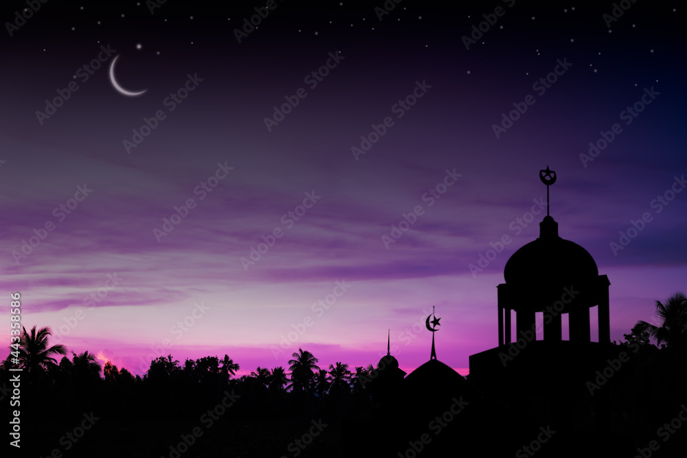 Ramadan kareem religion symbols. Mosques Dome in twilight night with ...