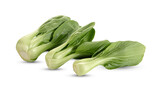 Bok choy vegetable on white background