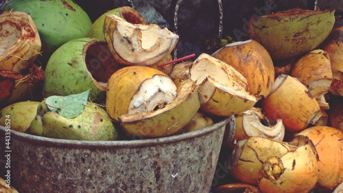 Tableau sur toile coconut waste