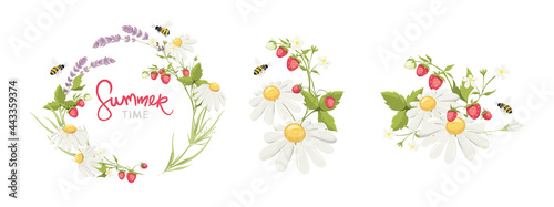 Decor for Wedding invitation with lavender, chamomile, strawberry and bees. Set vector design elements on the theme of flowering and summer.  © imagination13