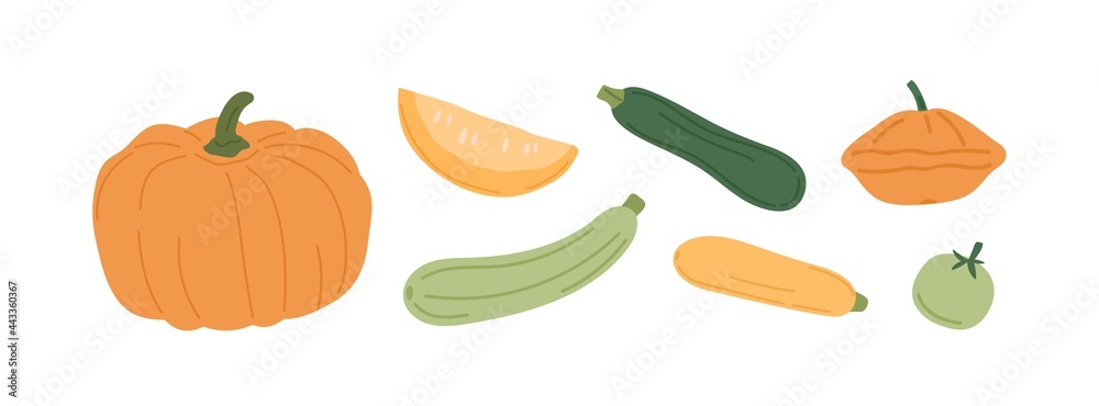 Set of fresh autumn vegetables. Orange pumpkin, gourd, green and yellow squashes, and zucchini. Variety of fall harvest. Flat vector illustration of ripe veggies isolated on white background Set of fresh autumn vegetables. Orange pumpkin, gourd, green and yellow squashes, and zucchini. Variety of fall harvest. Flat vector illustration of ripe veggies isolated on white background