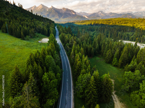 Road in Forest into Wilderness and Mountains Aerial Drone View