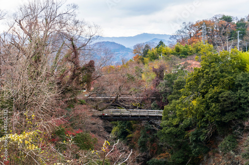 山並みをバックに旧甲州街道の”甲斐の猿橋”と桂川／山梨県大月市【国の名勝】 photo