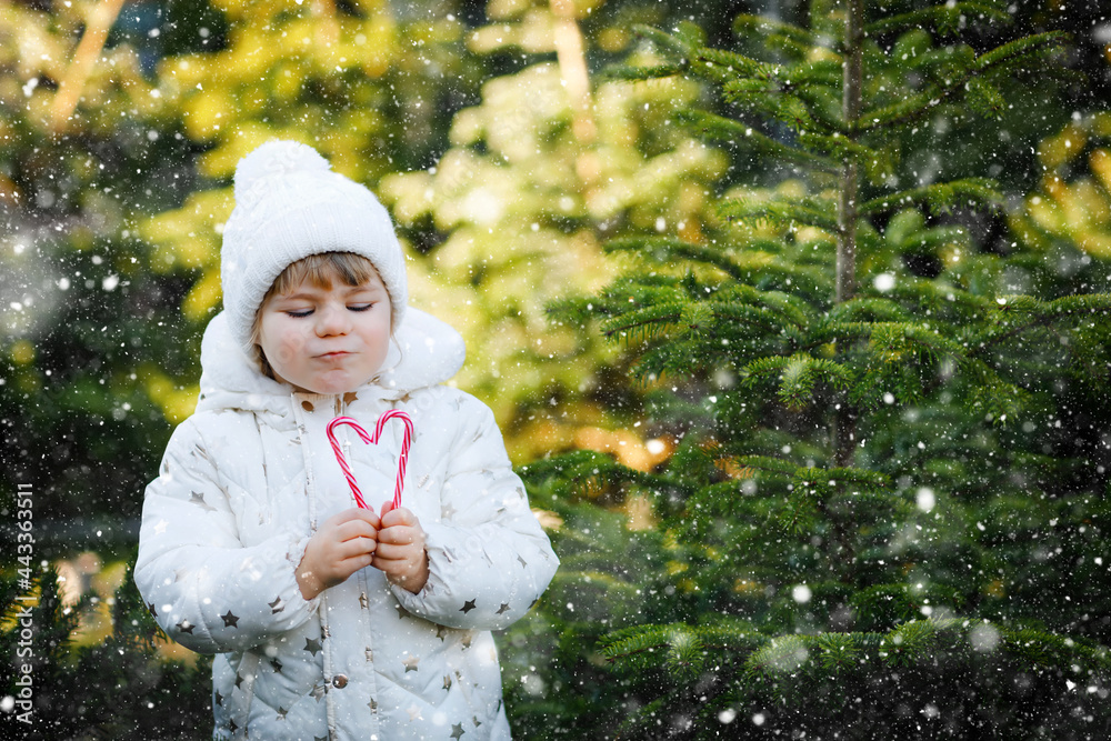 Adorable little toddler girl holding Christmas tree and sweet candy cane on market. Happy kid child in winter clothes choosing and buying Xmas tree in outdoor shop. Family, tradition, celebration.