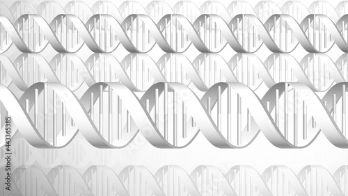 DNA Double Helix Molecule B...