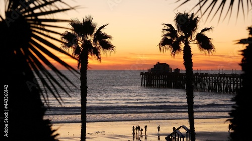 Palms silhouette on twilight sky  California USA  Oceanside pier. Dusk gloaming nightfall atmosphere. Tropical pacific ocean beach  sunset afterglow aesthetic. Dark black palm tree  Los Angeles vibes.