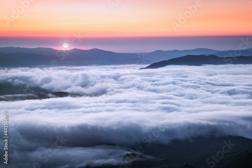 Amazing foggy morning. Sunrise. Landscape with high mountains. Forest of the pine trees. The early morning mist. Touristic place. Natural scenery.