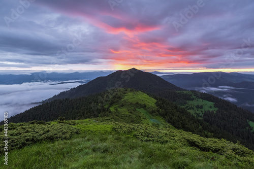 Sunrise. Spring morning. Landscape with high mountains. Foggy morning. Panoramic view. Natural scenery. Wallpaper background. Touristic place Carpathian park.