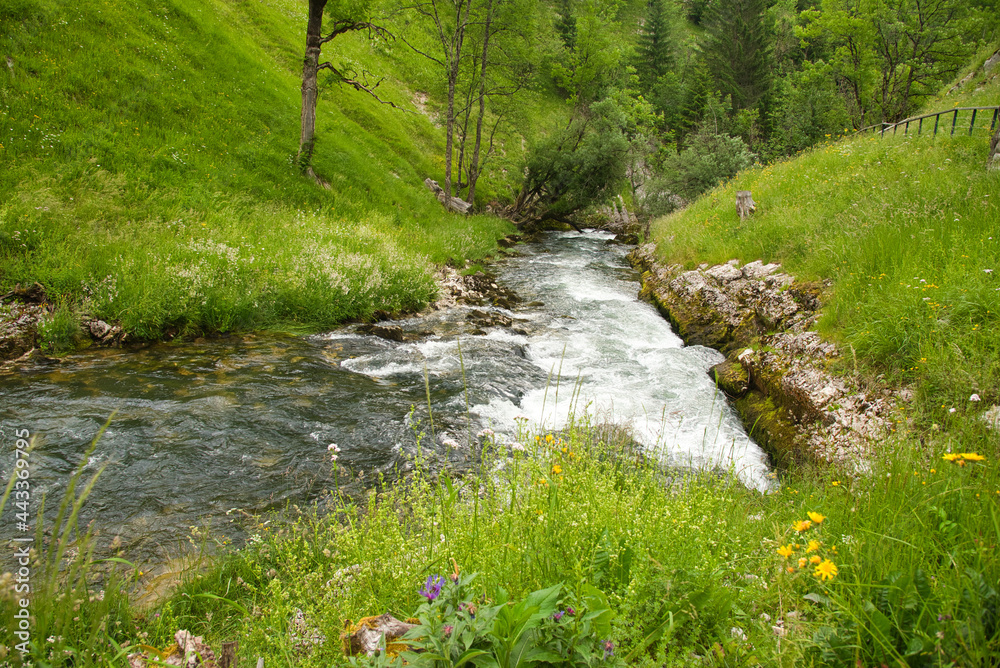 die Quelle de Saine im französischen Jura die Quelle de Saine im französischen Jura