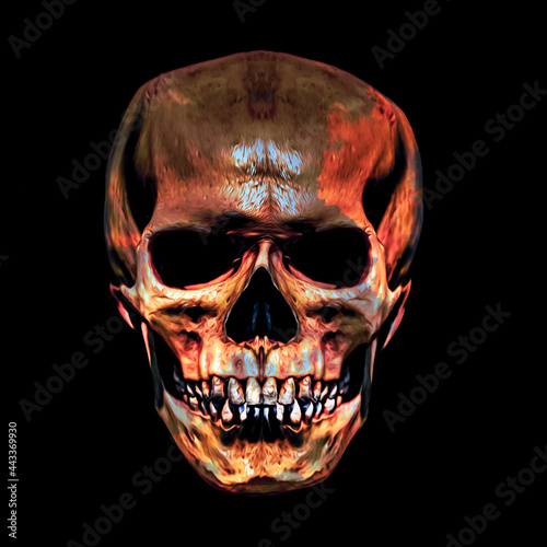 human skull and crossbones