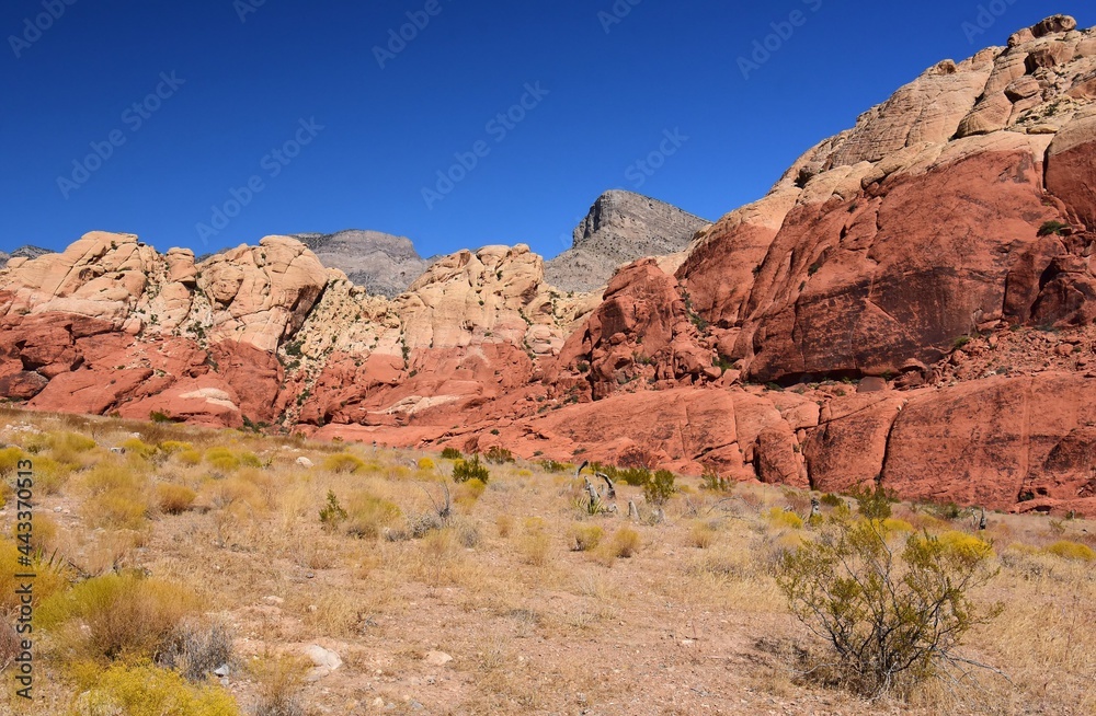 the  colorful, eroded rocks of red rock national conservation area on a sunny day  in the mojave desert, near las vegas, nevada