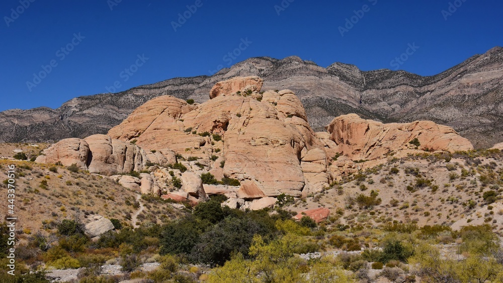 Fototapeta premium the colorful, eroded rocks of red rock national conservation area on a sunny day in the mojave desert, near las vegas, nevada