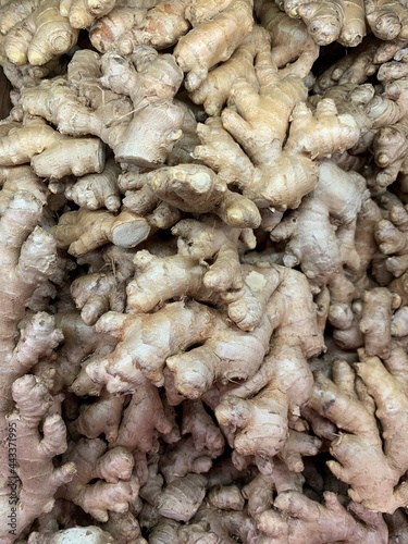 lots of ginger root for eating as a background