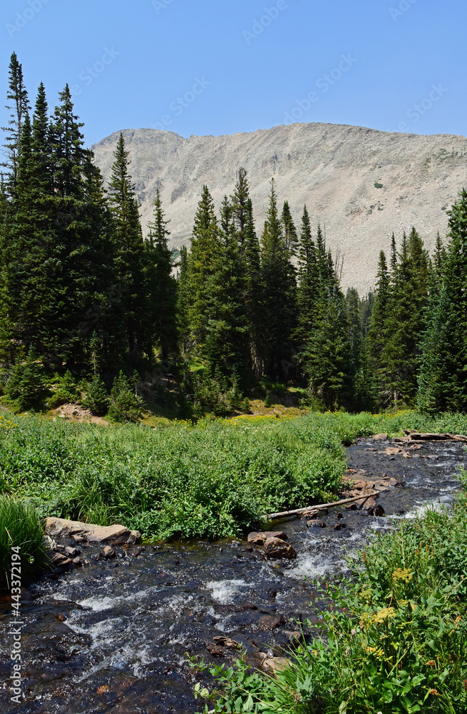 Obraz premium picturesque creek and mt. audobon along the hiking trail to blue lake, in the indian peaks wilderness area, colorado