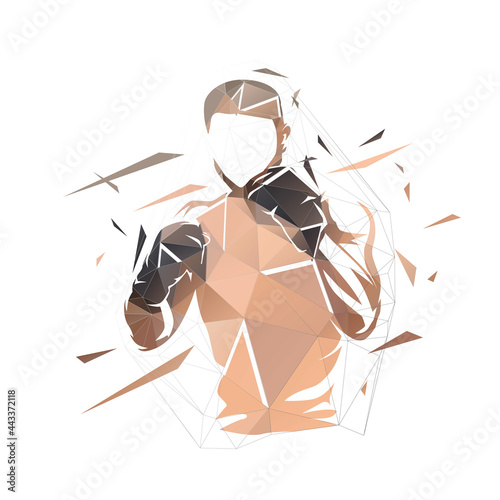 Fighter logo, boxing isolated low polygonal vector illustration, geometric drawing from triangles. Front view, boxing