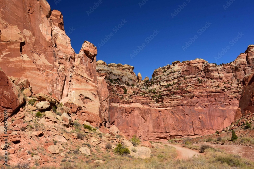dramatic red rock cliffs on a sunny day along the road to grand wash hiking trail in capitol reef national park, utah dramatic red rock cliffs on a sunny day along the road to grand wash hiking trail in capitol reef national park, utah
