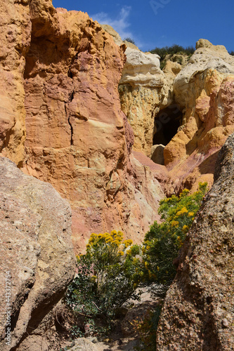 yellow wildflowers and the fantastically-colored and eroded paint mines, near calhan, in el paso county, colorado