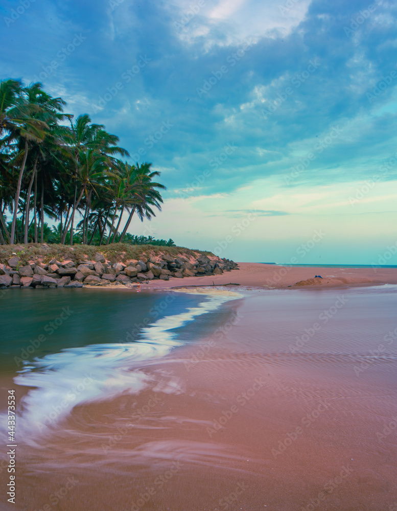 beach with palm trees