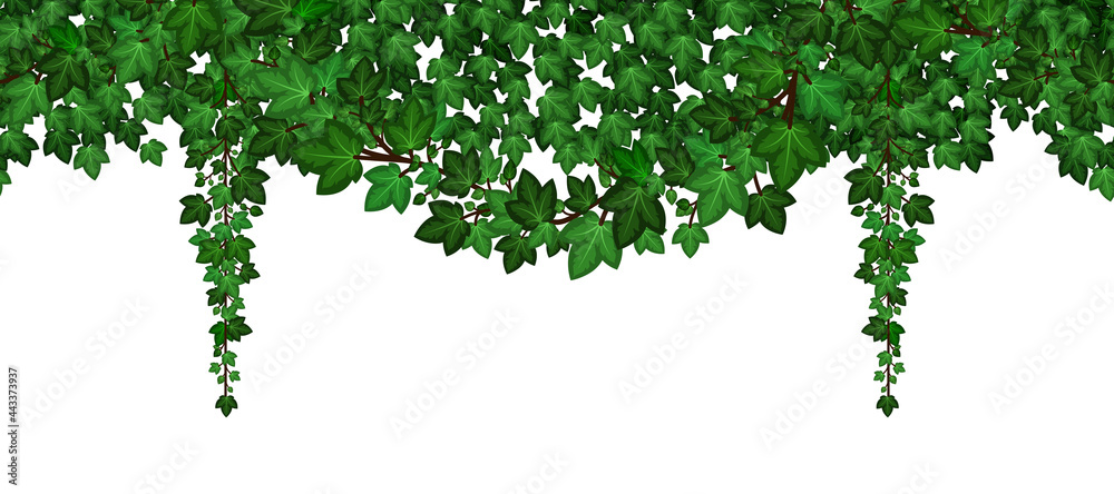 Fototapeta premium Ivy foliage garland. Green climbing and hanging ivy leaves and liana. Summer natural plant wall, repeat seamless pattern. Vector illustration