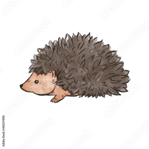 Forest little hedgehog cartoon on a white background 