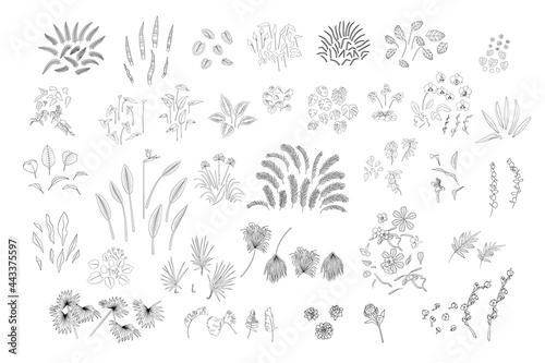 Set of various monochrome tropical plants leaves and flowers. Black line art. Stock vector illustration.