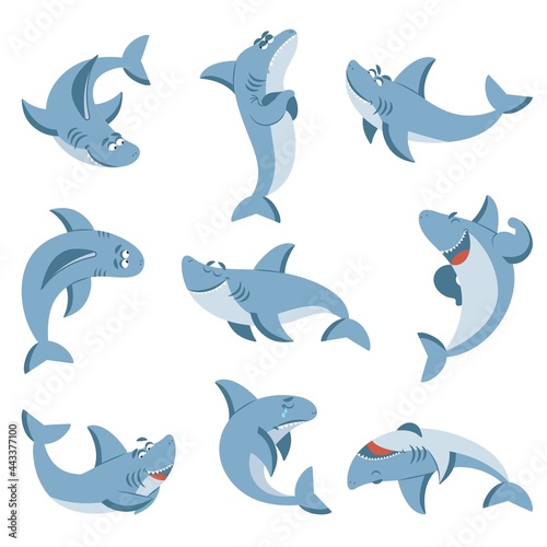 Cartoon shark. Graphic sharks, cute fish for boys kids. Summer sea wild animal. Isolated ocean wildlife beach animals decent vector characters
