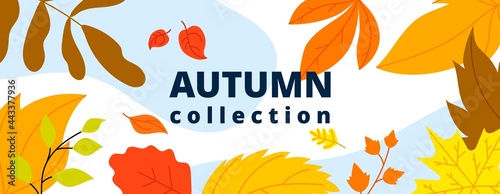 Autumn leaves banner. Isolated leaf, october fall wind and foliage. Thanksgiving or new collection, season sale utter vector abstract poster