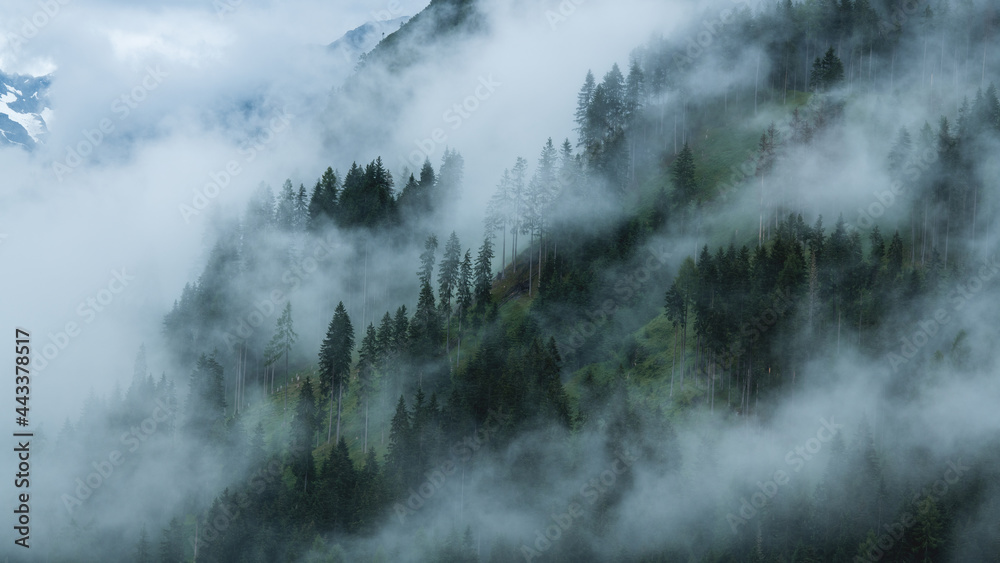 Nebel- und Wolkenfetzen an einem bewaldeten Steilhang in den tiroler Alpen - Moody scene