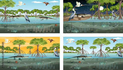 Different mangrove forest landscape scenes with various animals photo