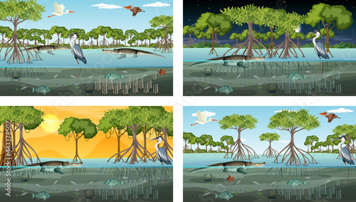 Different mangrove forest landscape scenes with various animals