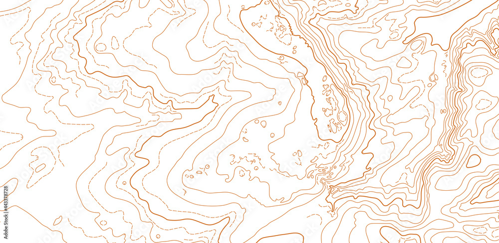 Fototapeta premium Abstract vector topographic map on white background