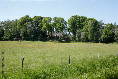 Zaunpfähle aus Holz, Holzzaun, Weidenzaun, Weide, Wiese photo