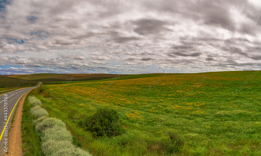 Obraz premium Farming landscape with road